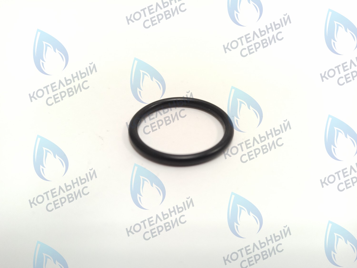 0020118729 Прокладка 23.81 x 2.62 Protherm Lynx (H-RU), Ягуар JTV, Гепард (H-RU) в Орле