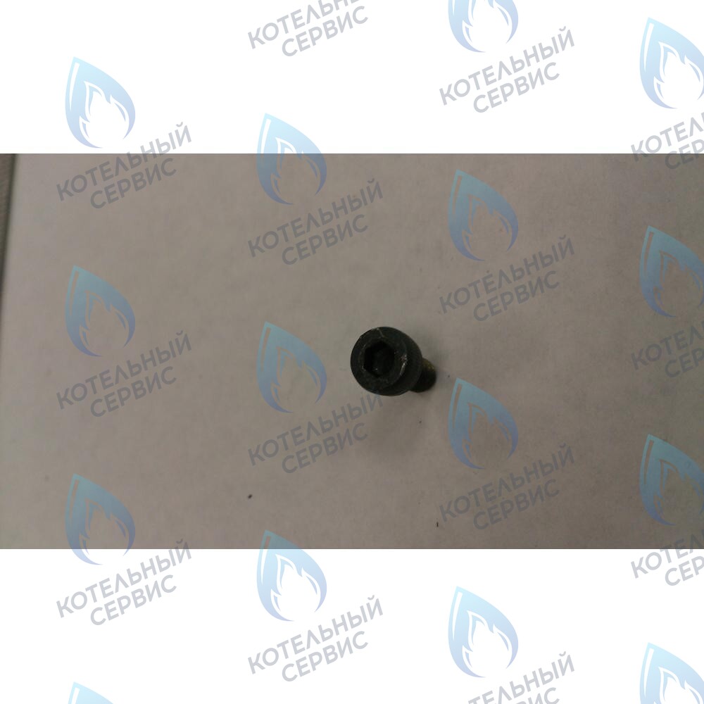 599150076 Винт M4X6 BAXI в Орле