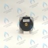 PH-W21CW50-WA82-RS2-Комп Двигатель насоса (черный пластик) (без улитки, без терминала, 2 скорости) аналог WILO 82w INTMSL15/5 HE-2 (21мм по часовой) в Орле