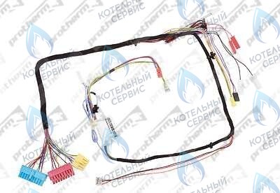 0020098000 Жгут проводов PROTHERM в Орле