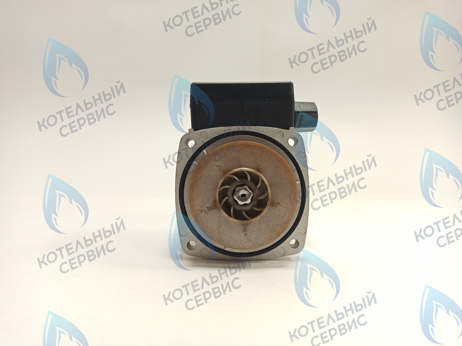 PH-G30CCW50-ER95-02 Двигатель насоса (против часовой) ERCO DWP15-50-A (без улитки) в Орле