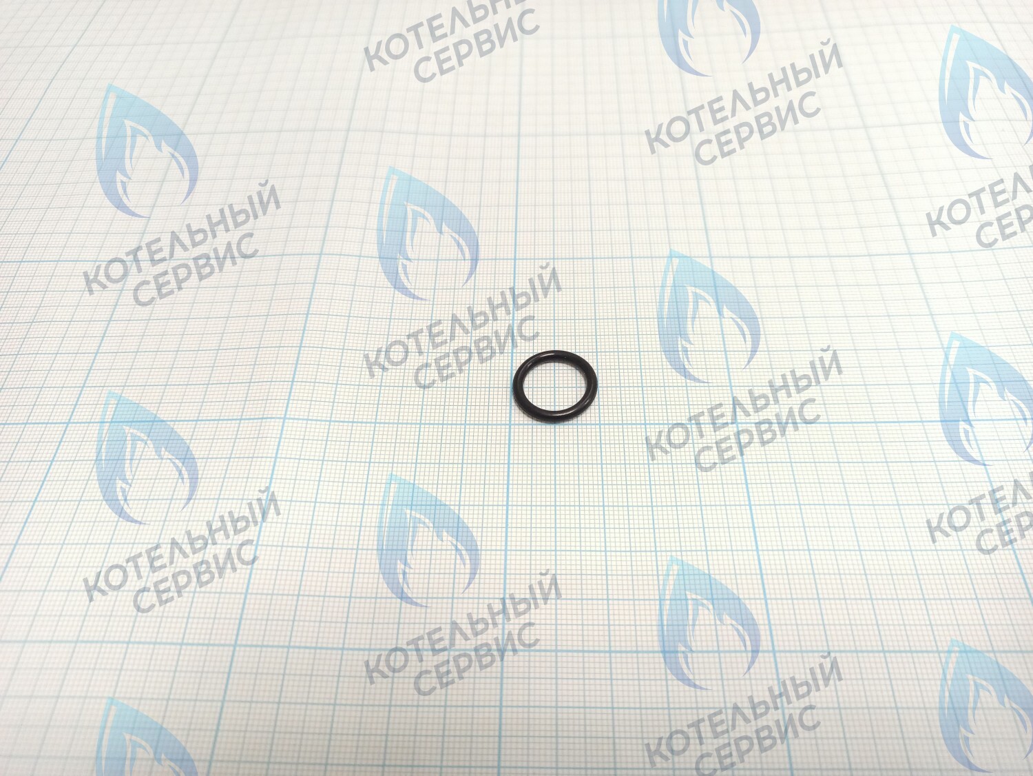 ZR206 Уплотнительное кольцо ГВС 15х2,5 в Орле