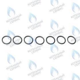 Кольцо уплотнительное 22,22x2,62 BAXI