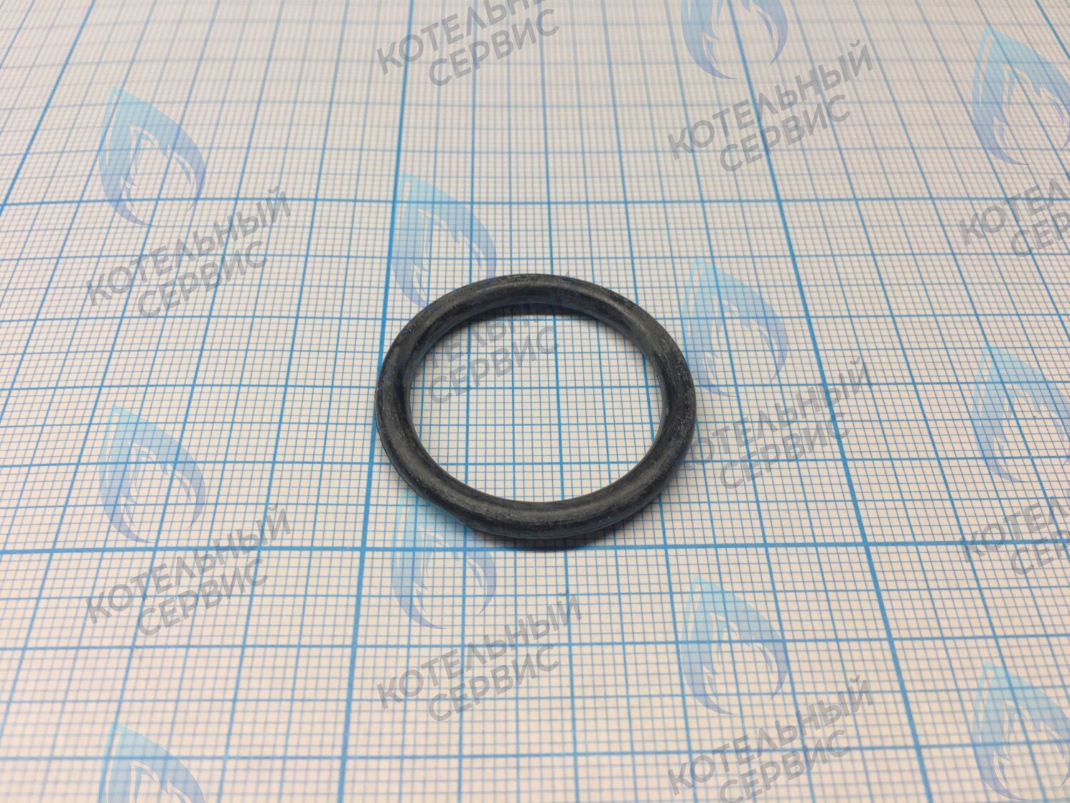 3080016 Кольцо уплотнительное насоса  CELTIC-DS PLATINUM (все модели) (3080016) в Орле