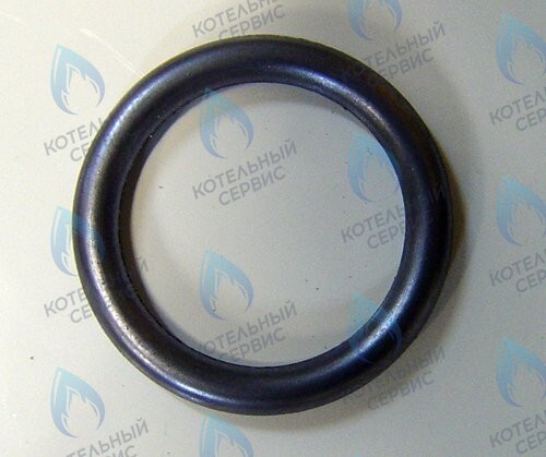 0020020741 Прокладка PROTHERM в Орле