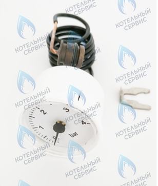 39846290 Манометр FERROLI в Орле