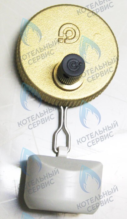 0020035044 Клапан воздухоотводчика PROTHERM в Орле