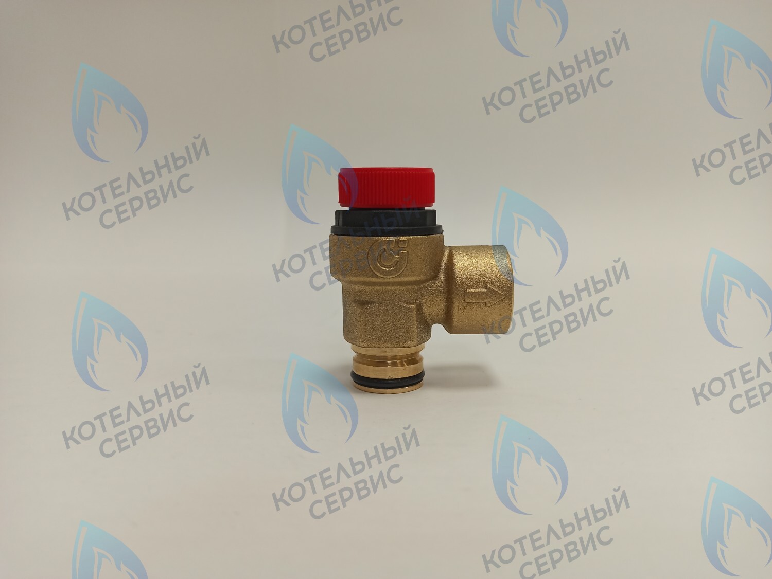 EV030-02-CF Сбросной предохранительный клапан A312 401 CST в Орле