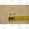 9950580 Предохранитель плавкий (2 А- 250 В) BAXI в Орле