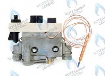 003382 Автоматика безопасности 710 ЛЕМАКС (Lemax) в Орле