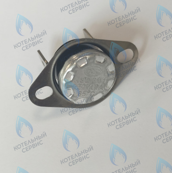 46360200 Термостат 85°С FERROLI в Орле