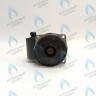 PH-W30CW60-WL93BX Двигатель насоса (без улитки) WILO RS 15/6 93w (30мм по часовой) FERROLI, FONDITAL, BAXI и др в Орле