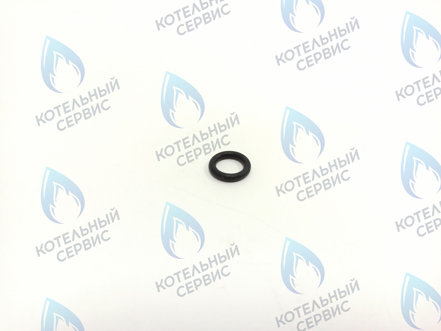 BI1262 113 Прокладка O-Ring 2,62 X 9,92 (BI1262 113) ELECTROLUX в Орле