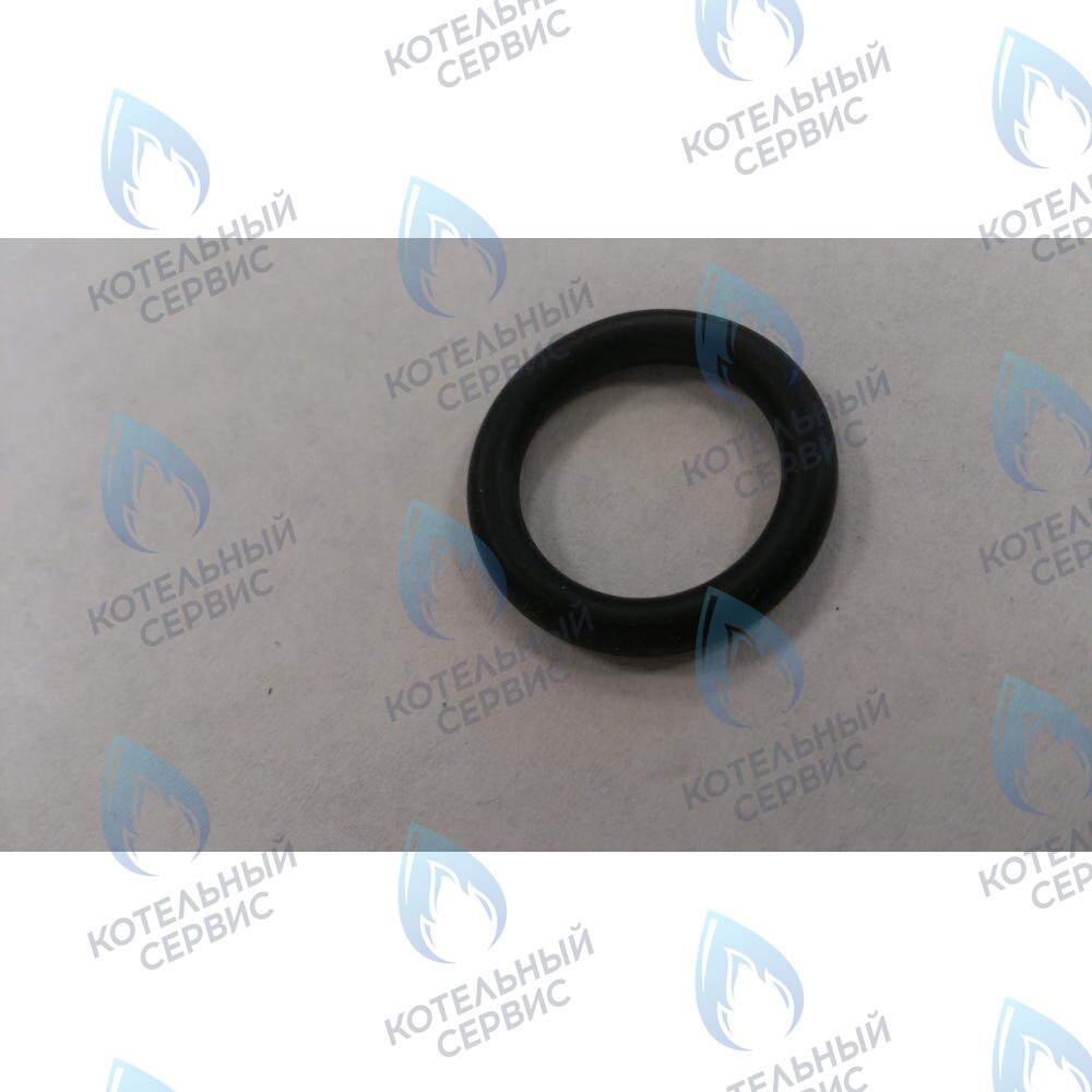 6399440050 Уплотнение кольцевое 3X14X20 BAXI в Орле