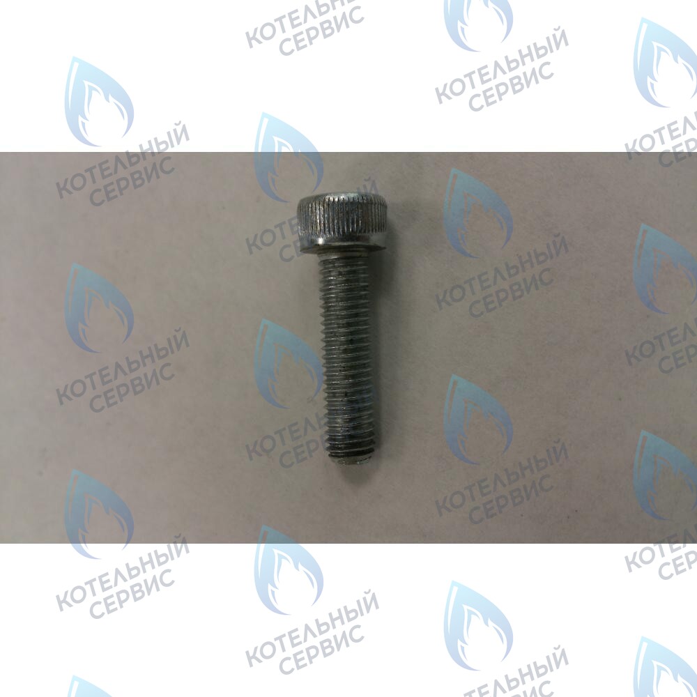 599130079 Винт M5X20 BAXI в Орле