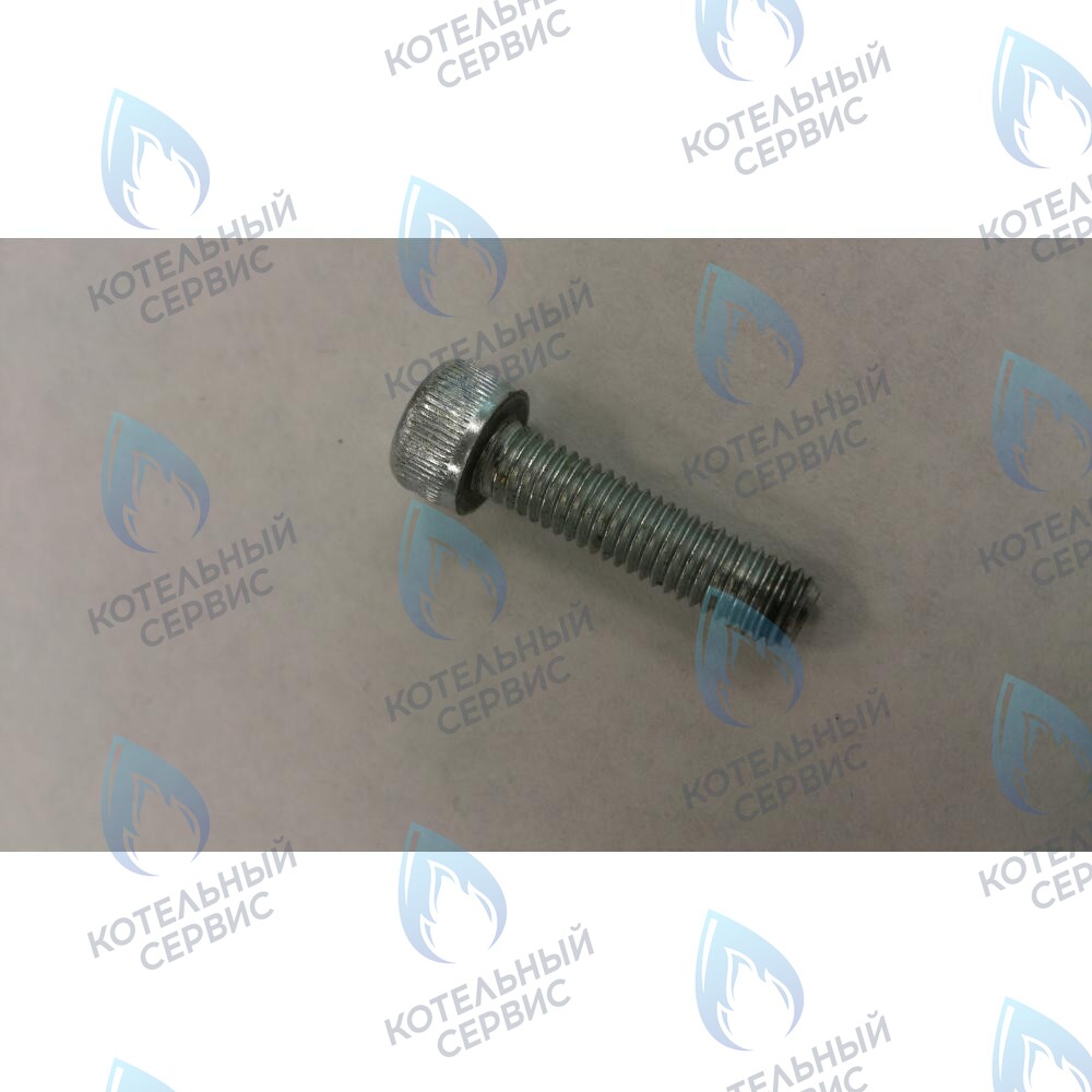 599130079 Винт M5X20 BAXI в Орле