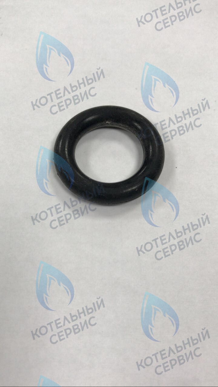 39864460 Прокладка O-ring циркуляционного насоса FERROLI (RU) в Орле