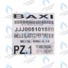 5101880 Кольцо эластичное d=18 BAXI в Орле