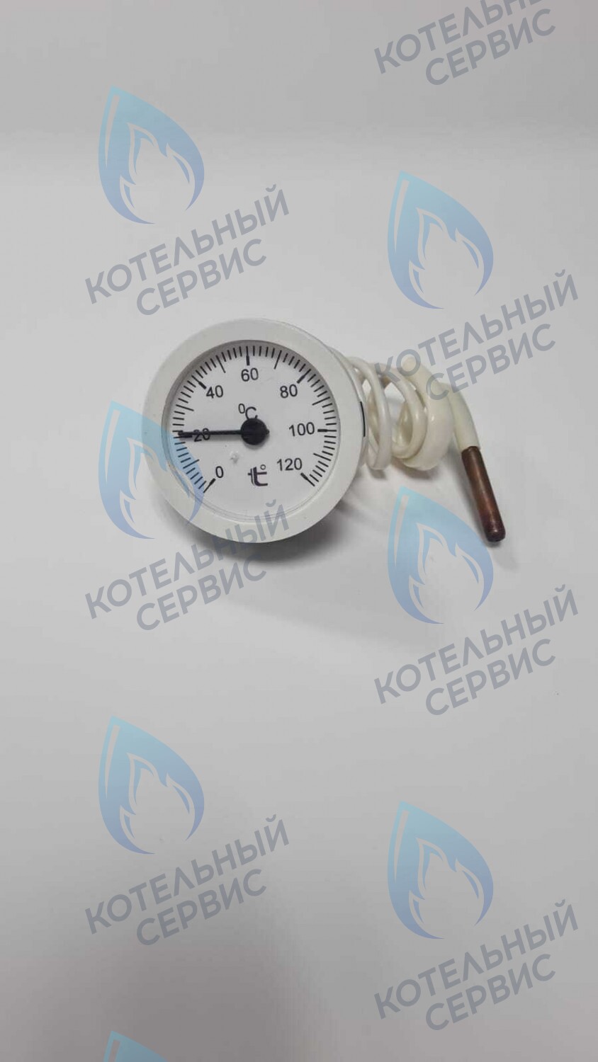 ST002-02 Термометр капиллярный круглый белое кольцо d 51,5 мм, длина капилляра 550 мм, 0-120С в Орле
