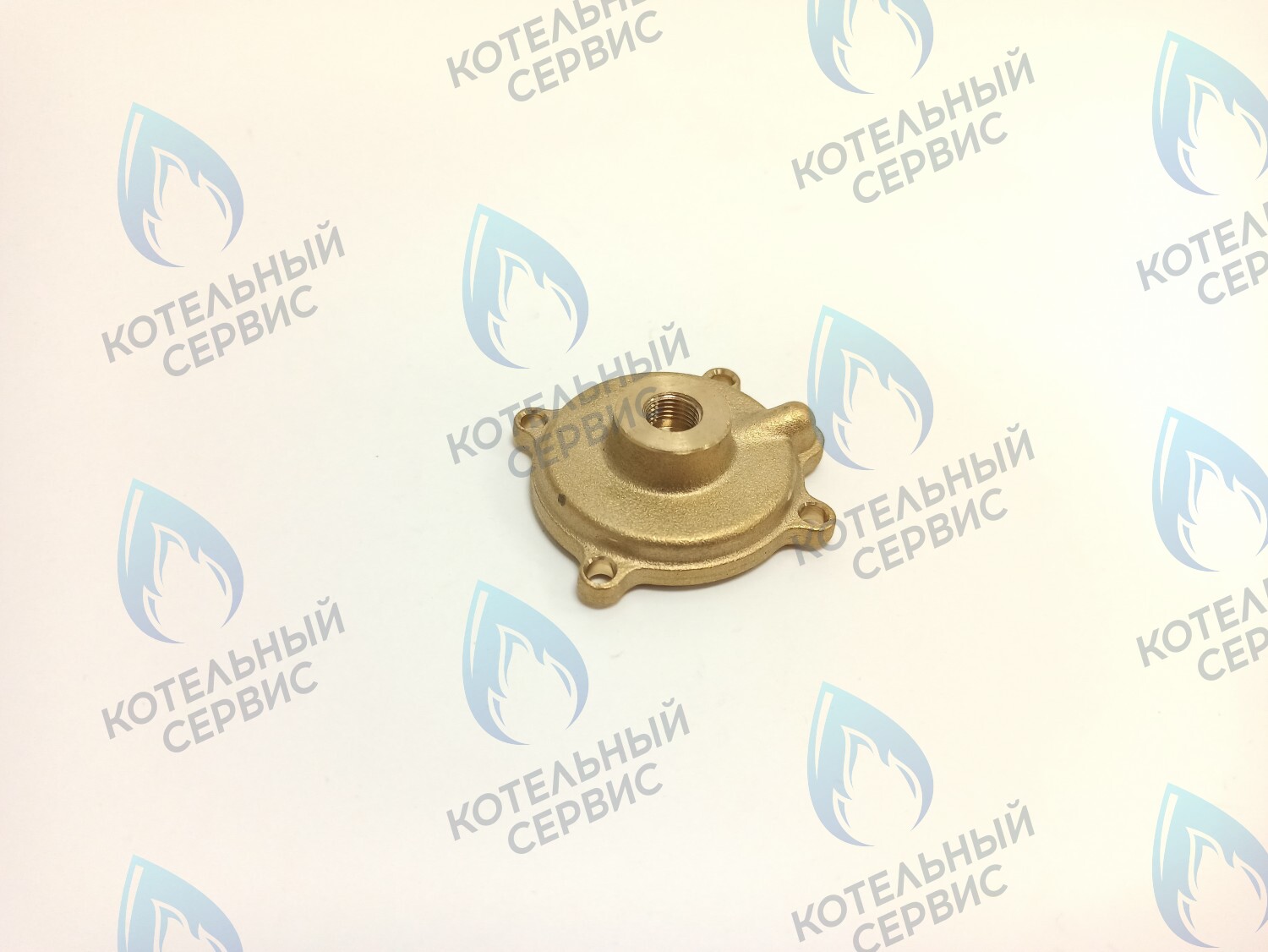 50101027 Крышка датчика протока (50101027) ELECTROLUX в Орле