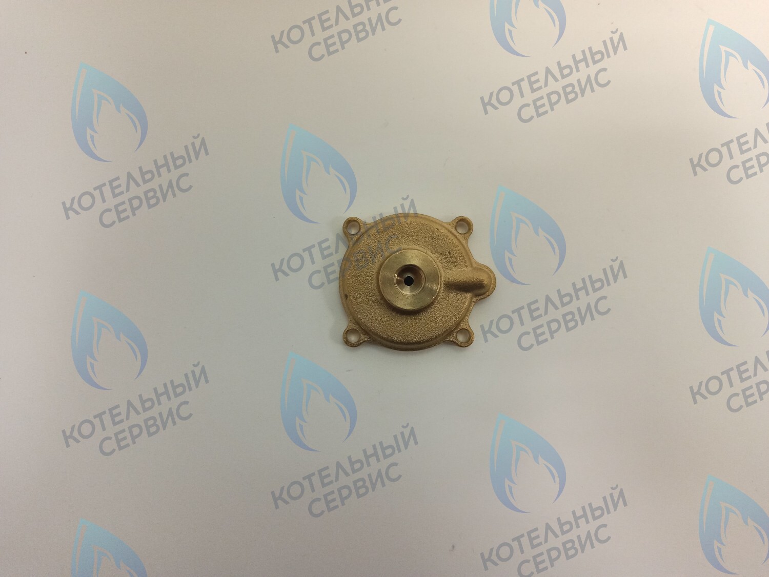 50101027 Крышка датчика протока (50101027) ELECTROLUX в Орле