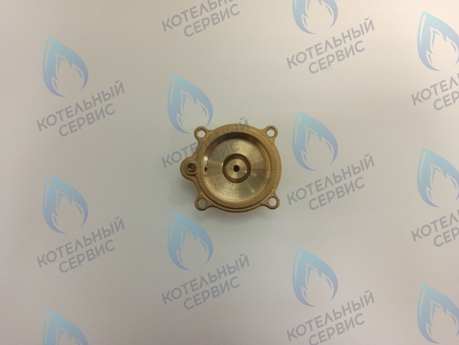 50101027 Крышка датчика протока (50101027) ELECTROLUX в Орле