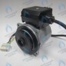 PH-W21CW60-GW105-5PIN Двигатель насоса WS15/6-2V (по часовой стрелке) PROTHERM Лев, Пантера V.18 (0020078492), Скат K13, Дельфин (0020094635), Скат V14 (0010025841) VAILLANT atmo/turboTEC 20-28 КВТ (0020213167, 0020005803), eloBLOCK (0020107584) (замена WILO VHSL15/6 HE-2, INT в Орле
