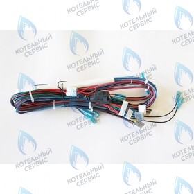 Проводка котла FERROLI