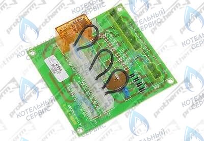 0020035009 Плата управления GRYZZLY(65,85,100 PROTHERM в Орле