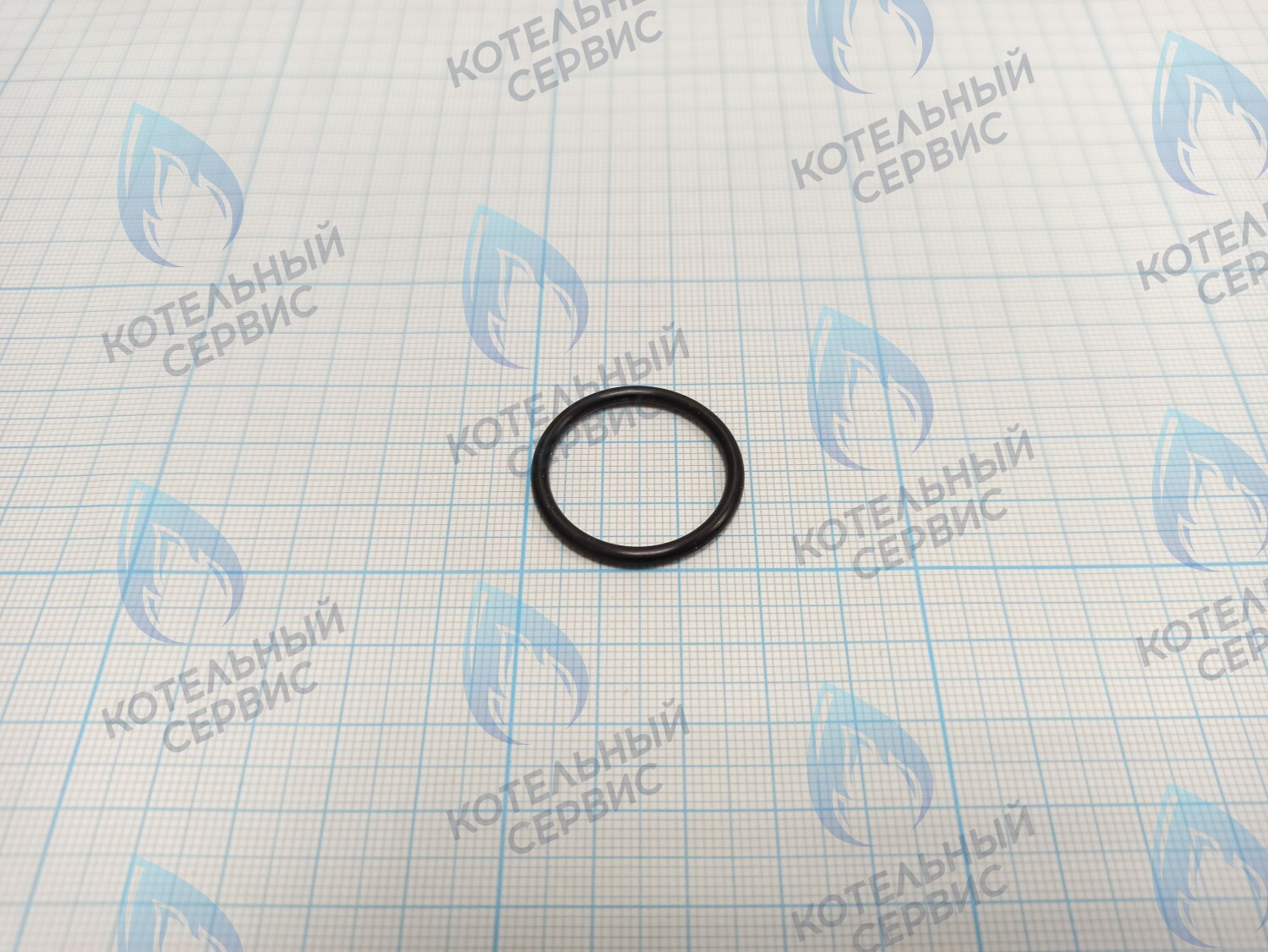 T10123-04 Прокладка уплотнительная резиновая 24x2,5 EPDM ROC в Орле