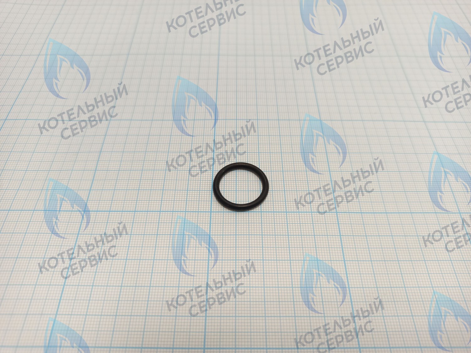 FC005B Кольцо уплотнительное (теплообменник первичный) FEDERICA BUGATTI Light, Varme 12-24кВт в Орле