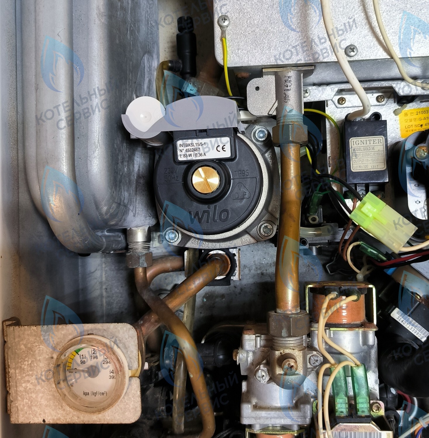 PMDS1AW50-WA82DS-Комп Насос циркуляционный 5м для MASTER GAS SEOUL 11-24 (2050118, 2050130), DAESUNG A16-24 (52050118, 52050130), ARDERIA 2.13-20, CELTIC-DS 3.13-3.20 (2050118, 2050130) в Орле