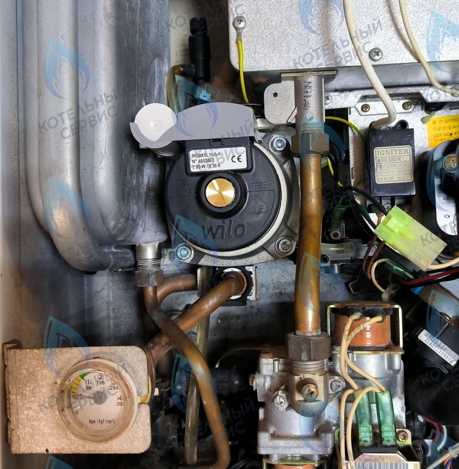 PMDS1AW50-WA82DS-Комп Насос циркуляционный 5м для MASTER GAS SEOUL 11-24 (2050118, 2050130), DAESUNG A16-24 (52050118, 52050130), ARDERIA 2.13-20, CELTIC-DS 3.13-3.20 (2050118, 2050130) в Орле