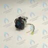 PMDS1AW50-WA82DS-Комп Насос циркуляционный 5м для MASTER GAS SEOUL 11-24 (2050118, 2050130), DAESUNG A16-24 (52050118, 52050130), ARDERIA 2.13-20, CELTIC-DS 3.13-3.20 (2050118, 2050130) в Орле