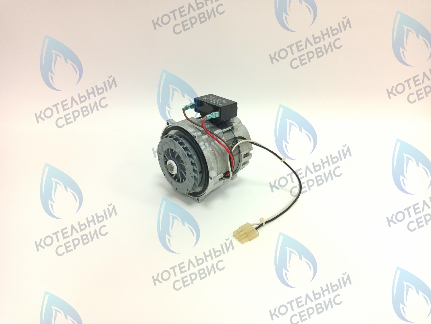 PH-S46CW73-CS77 Двигатель насоса (без улитки, с прокладкой) 77w GRUNDFOS CS-0108DSB ARDERIA 2.13-20, CELTIC-DS 3.13-3.20, MASTER GAS SEOUL 11-21, DAESUNG A16-24 в Орле