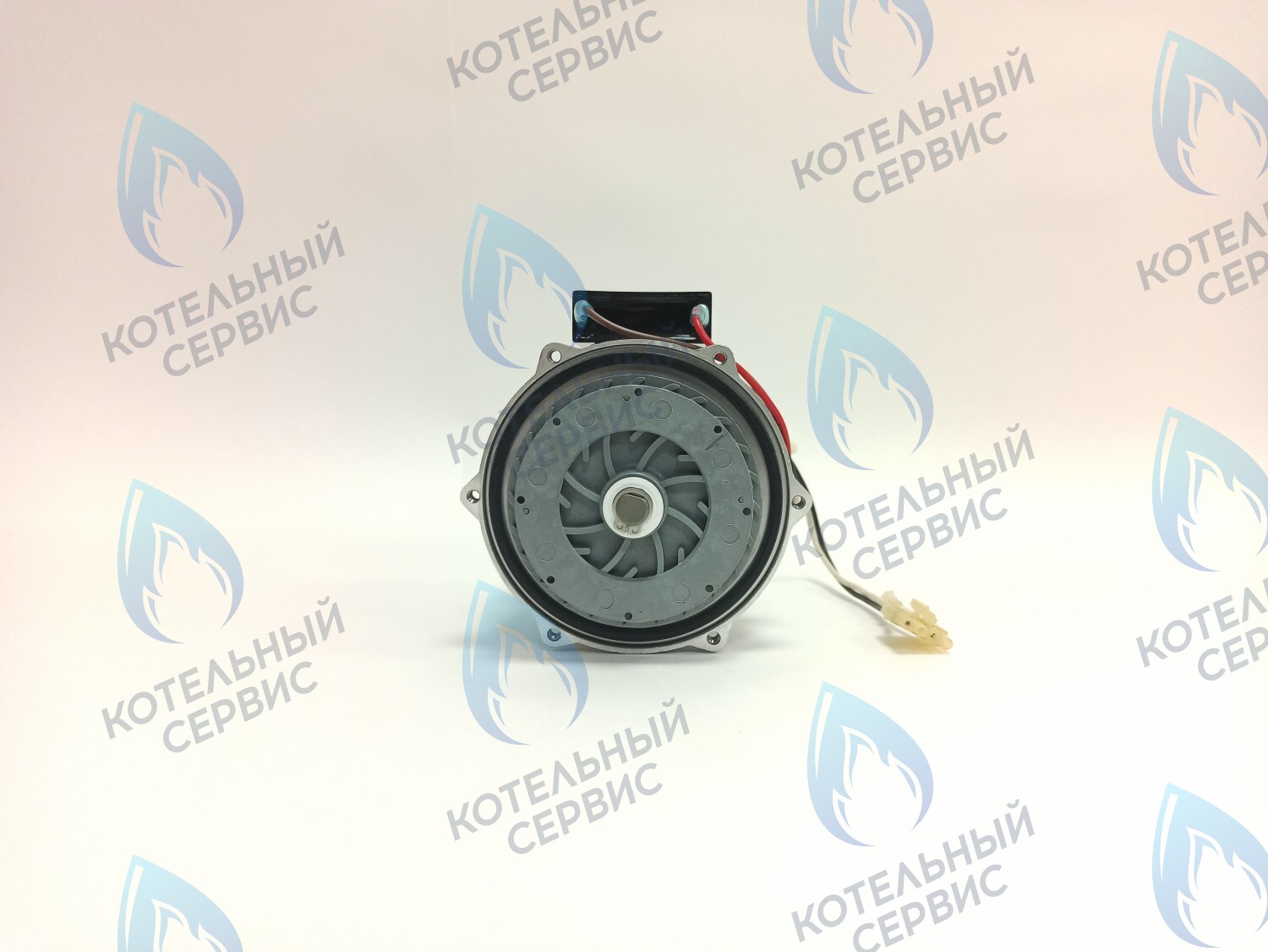 PH-S46CW73-CS77 Двигатель насоса (без улитки, с прокладкой) 77w GRUNDFOS CS-0108DSB ARDERIA 2.13-20, CELTIC-DS 3.13-3.20, MASTER GAS SEOUL 11-21, DAESUNG A16-24 в Орле