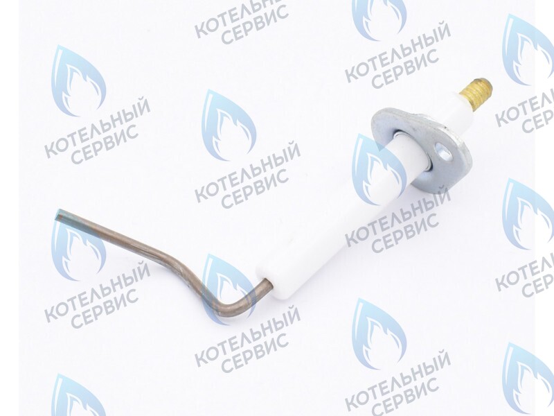0020097415 Электрод ионизации Protherm Леопард 24 MTM-CC/1 (H-RU) в Орле
