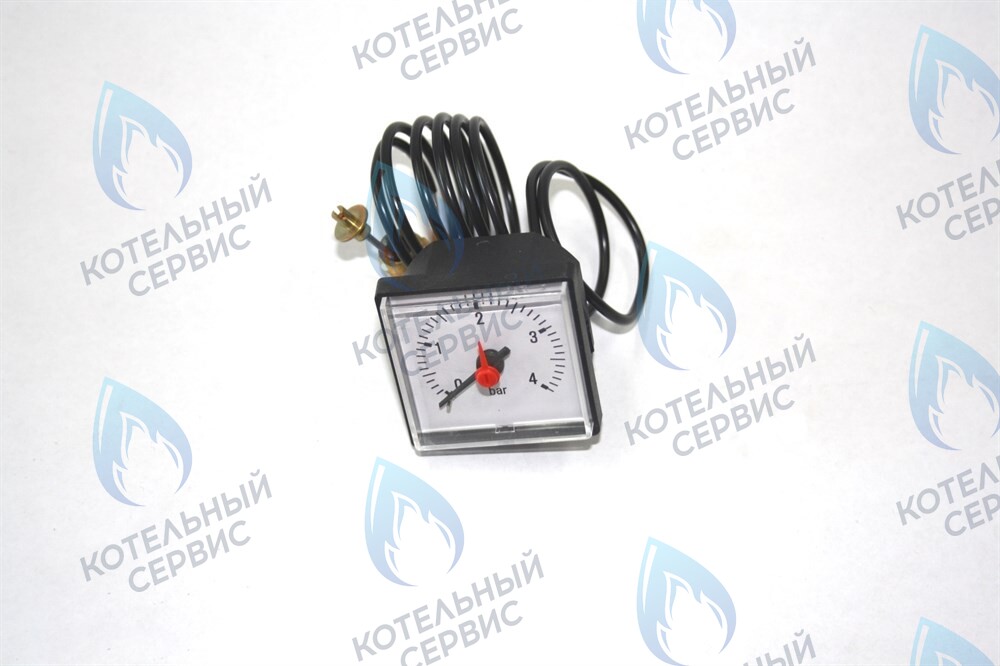 0020027570 Манометр белый Protherm PLO KLO KLZ в Орле