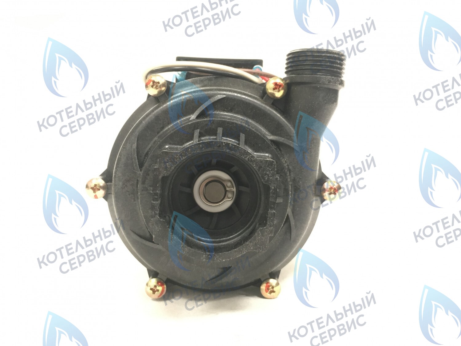 PMDS1A-CS77-Комп Насос циркуляционный для ARDERIA 2.13-20, CELTIC-DS 3.13-3.20, MASTER GAS SEOUL 11-24 (2050118, 2050130), DAESUNG A16-24 (52050118, 52050130) в Орле