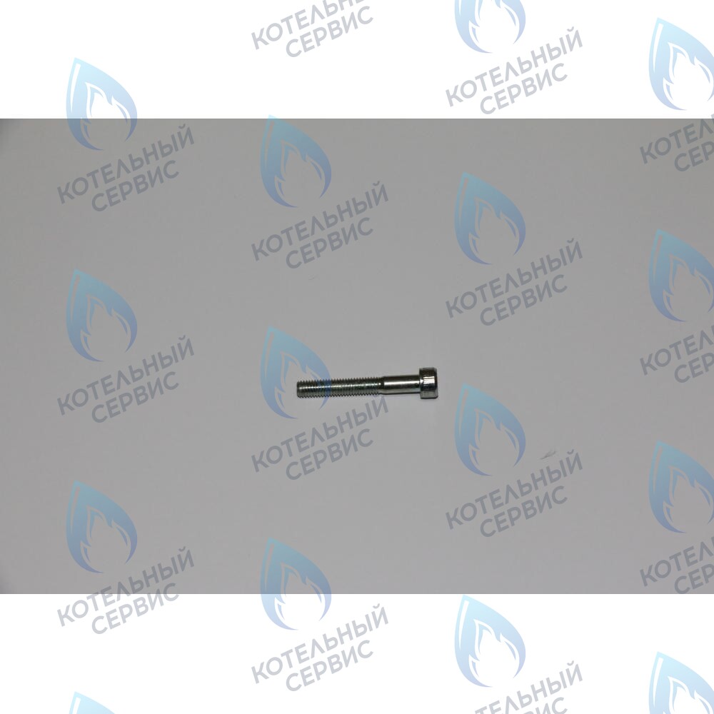 710046900 винт фиксирующий теплообменника ГВС BAXI в Орле